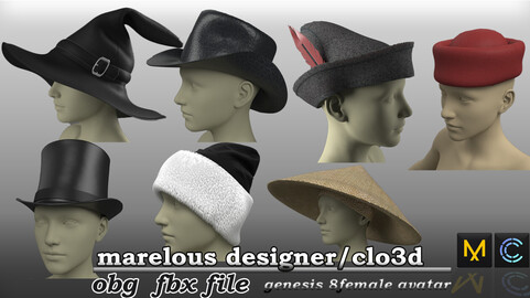 3d hats 2