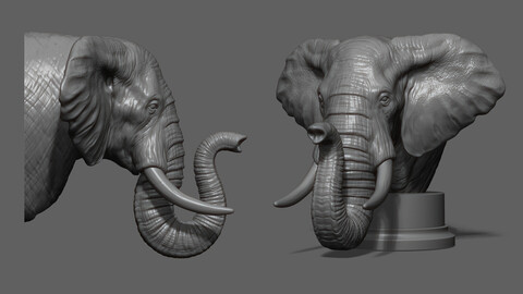 Elephant head bust