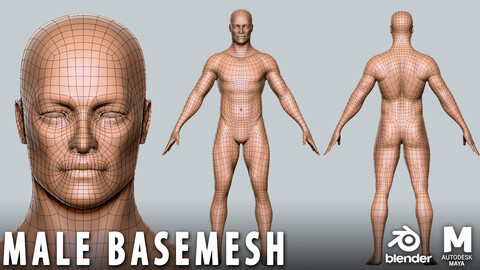 Male 2 BaseMesh - Topology + UV map