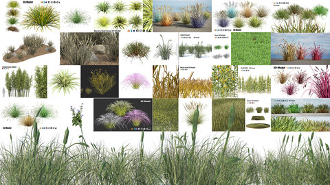 50 Low & Medium Poly Grass Collection