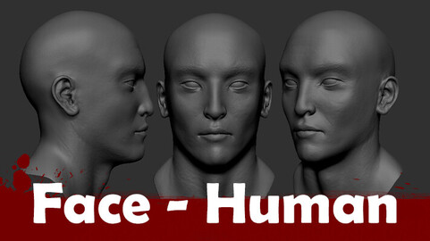 Human Face 001