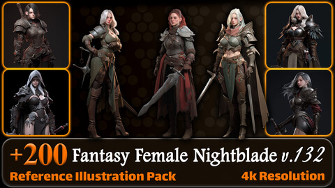 200 Fantasy Female Nightblade Reference Pack | 4K | v.132