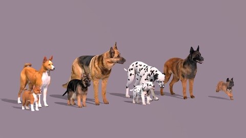 Dogs Family Assets Bundle