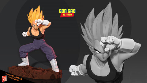 Vegeta took a defensive stance