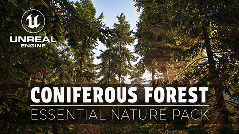 Coniferous Forest - Essential Nature Pack | UNREAL ENGINE