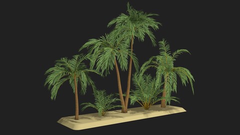 Five palm trees v2