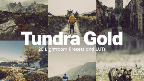 20 Tundra Gold LUTs & Lightroom Presets