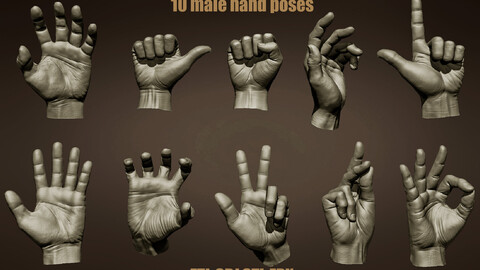 10 Male hand poses ZTL-OBJ-STL-FBX