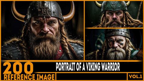 200 ART - Portrait of a Viking Warrior - Reference 6K Package vol.1