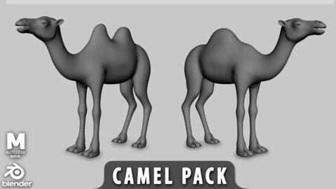 Camel Pack - Topology + UV Map