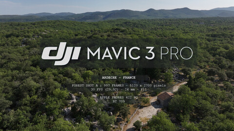 DJI - ARDECHE - FRANCE - forest_shot_A - 5K