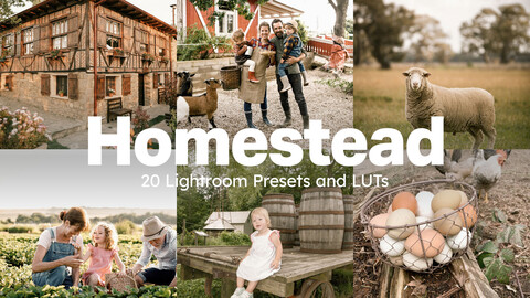 20 Homestead LUTs & Lightroom Presets