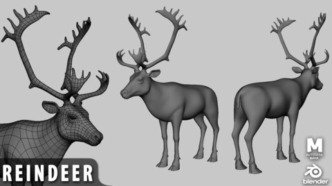 Reindeer  - Topology + UV Map