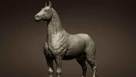 Free Horse 3d model