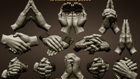 12 Male hand poses