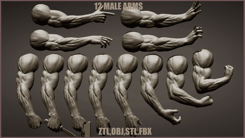 12 male arms poses