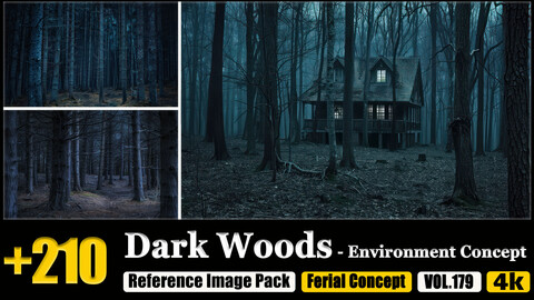 210 Dark Woods - Environment Concept Reference Image Pack v.179 |4K|