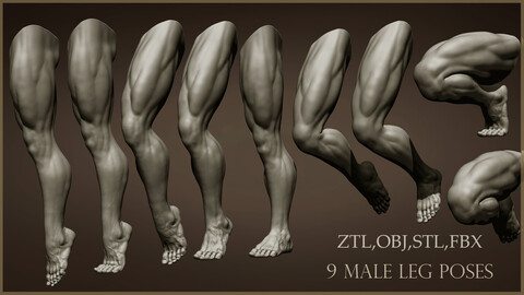 9 Male leg poses