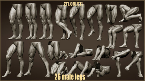 26 Male leg poses  ZTL+OBJ+STL