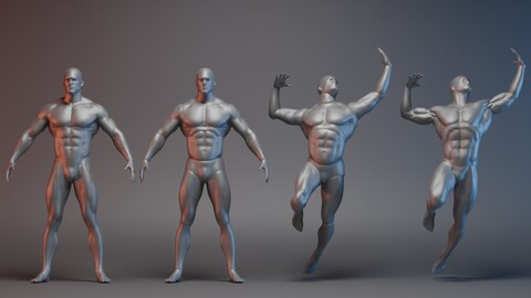 Easy Male Sculpting Base