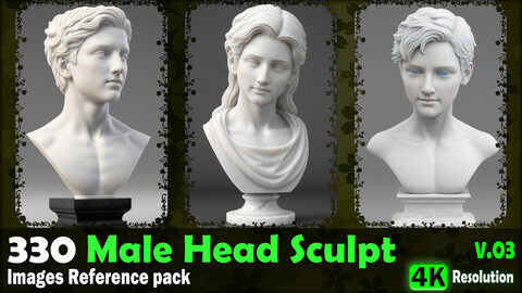 330 Male Head Sculpt Images Reference Pack - 4K Resolution - V.03