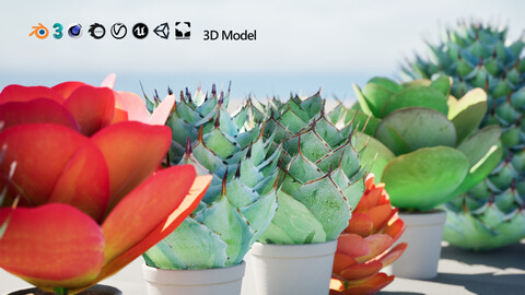 Kalanchoe and Agave 3D Model Pack