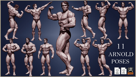 Arnold Schwarzenegger 3D model 11 poses ZTL+OBJ+STL