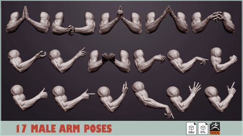 17 male arm poses 3D model ZTL+OBJ+STL