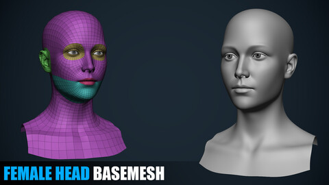 Female Head Basemesh - Emma