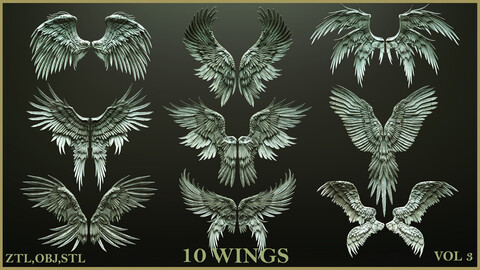 10 Wings High-Poly 3D Models ZTL+OBJ+STL