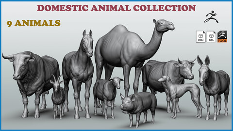 Domestic animal collection - 9 animals ZTL+OBJ+STL