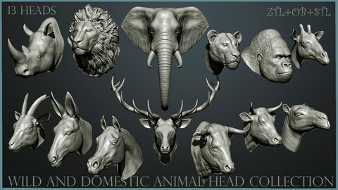 Wild and Domestic Animal head Collection - 13 animal Heads - ZTL+OBJ+STL