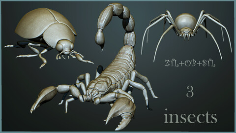 3 Insects - ZTL+OBJ+STL