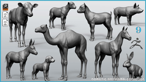 Domestic Baby animal collection - 9 animals ZTL+OBJ+STL