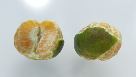 Orange Fruit open