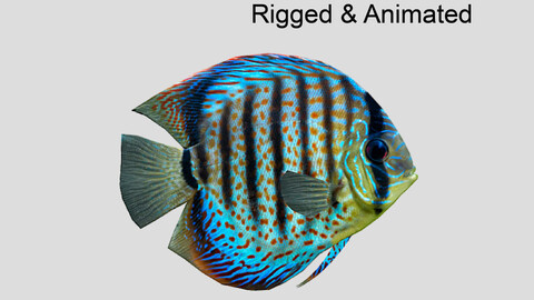 Discus