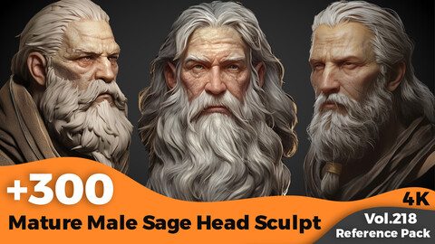 +300 Mature Male Sage Head Sculpt Reference (4k)