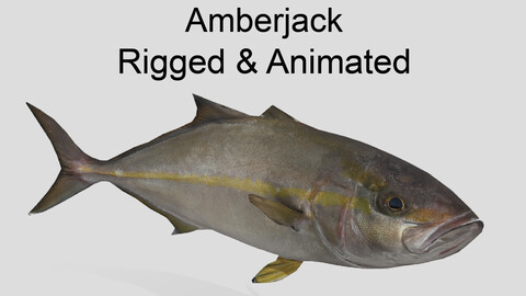 amberjack