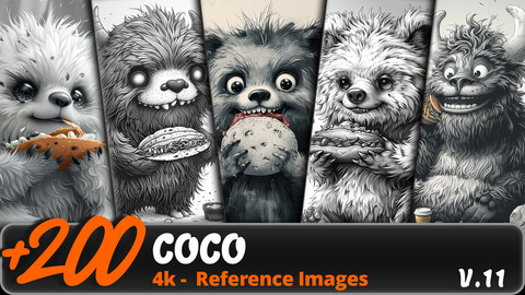 COCO VOL.11/ 4K/ Reference Image