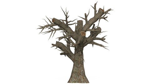 Game Ready Dead Tree 02