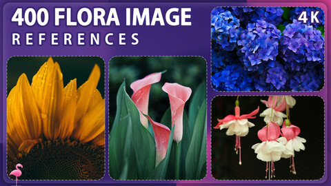 400 Flora Reference Pack – Vol 1