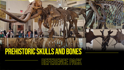 PREHISTORIC SKULLS AND BONES Reference Pack