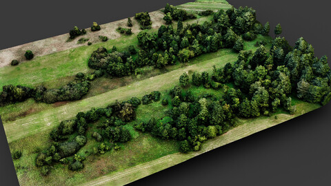 trees terrain lpoly forest area dronescan part2