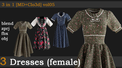 3 Dresses(female) [blend+zprj+fbx+obj] vol05