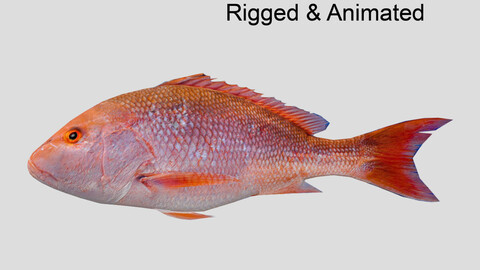 Red SnappeR