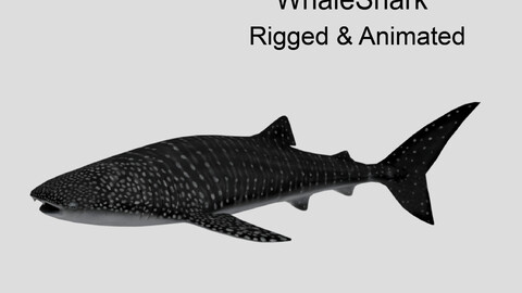 whaleshark