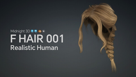 M3D Female Hair 001