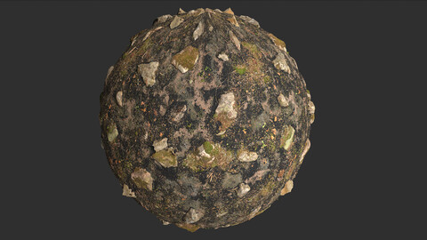 Fire Damage Forest Ground Rocks Pbr 4k Texture