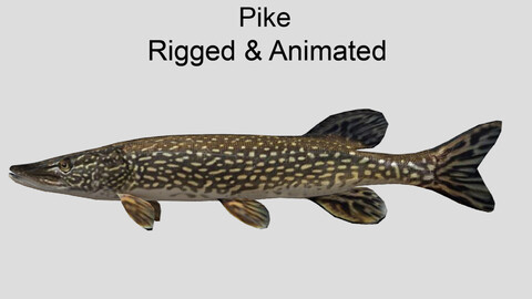 pike