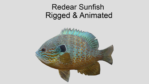 redear sunfish